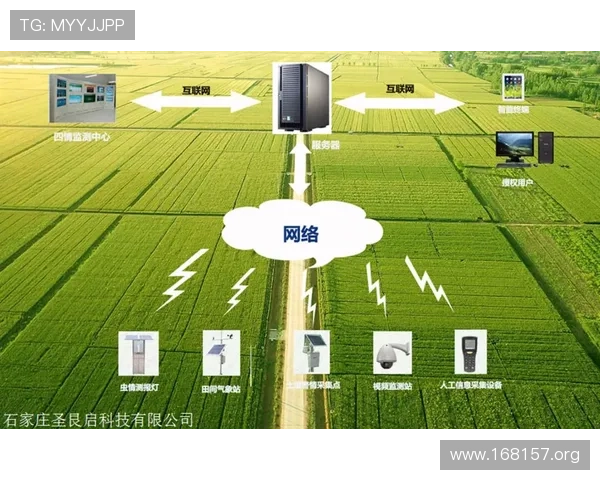太阳城航空：打造绿色智慧出行新未来